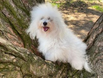 matka: MILA VEL COCO Rock`owe Perły